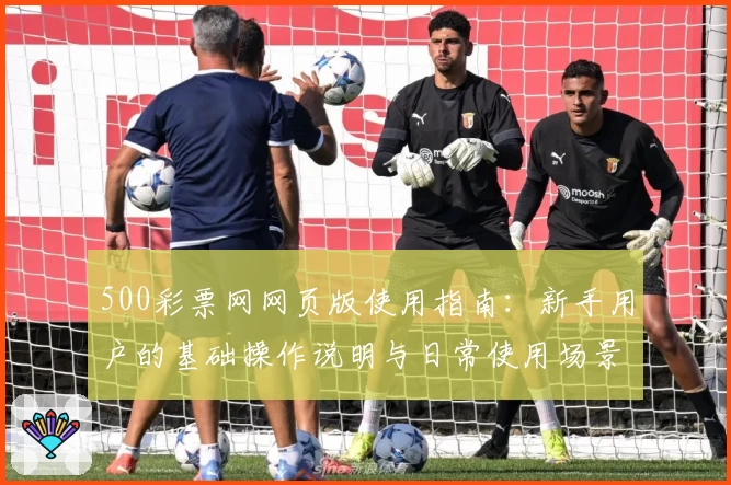 500彩票网网页版使用指南：新手用户的基础操作说明与日常使用场景解析